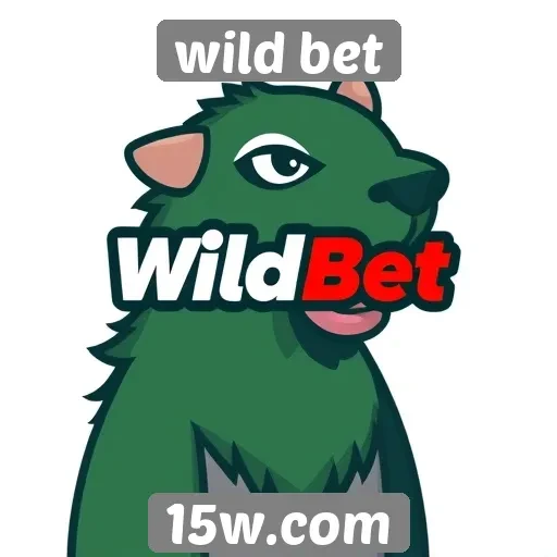 Opções de pagamento disponíveis no Wild Bet