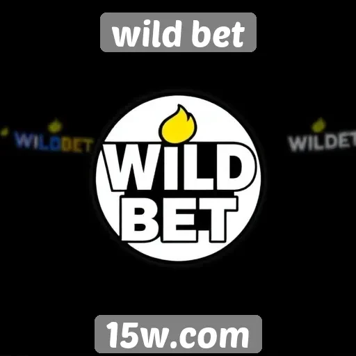 Comparativo de métodos de pagamento do Wild Bet